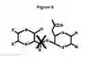 Fig. 09 - MATRIX METALLOPROTEINASE INHIBITOR