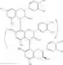 Fig. 02 - EPICATECHIN COMPOSITIONS AND METHODS