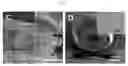 Fig. 04 - Fibrous microcapsules and methods of assembly and use thereof