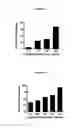Fig. 02 - Composition from Sphaeranthus indicus and Garcinia mangostana for the control of metabolic syndrome