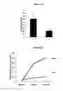 Fig. 09 - Composition from Sphaeranthus indicus and Garcinia mangostana for the control of metabolic syndrome
