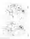 Fig. 30 - COMPRESSION MOULDING APPARATUS