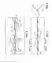 Fig. 07 - Precision-folded, high strength, fatigue-resistant structures and sheet therefor