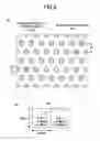 Fig. 09 - POLYMER THIN FILM, PATTERNED MEDIA, PRODUCTION METHODS THEREOF, AND SURFACE MODIFYING AGENTS