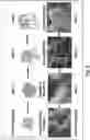 Fig. 06 - Synthesis of pyrochlore nanostructures and uses thereof