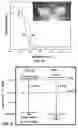 Fig. 07 - Synthesis of pyrochlore nanostructures and uses thereof