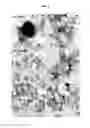 Fig. 04 - Method for producing cerium dioxide nanopowder by flame spray pyrolysis and cerium dioxide nanopowder produced by the method