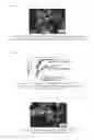 Fig. 02 - Hollow carbon microparticle and method for producing same