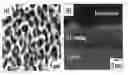 Fig. 01 - PREPARATION METHOD OF HYDROXYAPATITE COATING LAYER USING AEROSOL DEPOSITION AND HYDROTHERMAL TREATMENT, AND NANOSTRUCTURED HYDROXYAPATITE COATING LAYER PREPARED BY THE METHOD