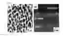 Fig. 05 - PREPARATION METHOD OF HYDROXYAPATITE COATING LAYER USING AEROSOL DEPOSITION AND HYDROTHERMAL TREATMENT, AND NANOSTRUCTURED HYDROXYAPATITE COATING LAYER PREPARED BY THE METHOD