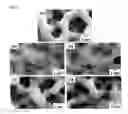 Fig. 08 - PREPARATION METHOD OF HYDROXYAPATITE COATING LAYER USING AEROSOL DEPOSITION AND HYDROTHERMAL TREATMENT, AND NANOSTRUCTURED HYDROXYAPATITE COATING LAYER PREPARED BY THE METHOD
