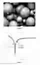 Fig. 06 - Method for coating particles