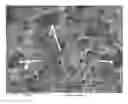 Fig. 01 - Materials for electrochemical device safety