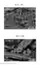 Fig. 04 - Negative electrode active material and lithium battery including the same