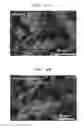 Fig. 05 - Negative electrode active material and lithium battery including the same