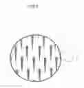 Fig. 07 - Electric storage device electrode and method for manufacturing same