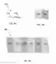 Fig. 05 - Multiple electrolyte electrochemical cells
