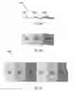 Fig. 07 - Multiple electrolyte electrochemical cells