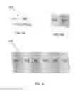 Fig. 07 - Electrodes with solid polymer electrolytes and reduced porosity