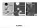 Fig. 07 - Preparation of supported electrocatalyst comprising multiwalled carbon nanotubes