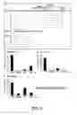 Fig. 06 - Oligoribonucleotide or peptide nucleic acid capable of inhibiting activity of hepatitis C virus