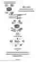 Fig. 02 - QUANTIFICATION OF ENZYME ACTIVITY BY MASS SPECTROMETRY USING IMMOBILIZED SUBSTRATES