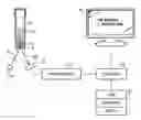 Fig. 01 - Identification and/or characterization of a microbial agent using taxonomic hierarchical classification