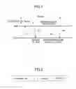 Fig. 02 - Base station, mobile station, and link establishing method