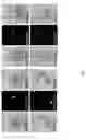 Fig. 32 - Rationale, methods, and assays for identifying human and non-human primate taste specific genes and use thereof in taste modulator and therapeutic screening assays
