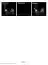 Fig. 33 - Rationale, methods, and assays for identifying human and non-human primate taste specific genes and use thereof in taste modulator and therapeutic screening assays