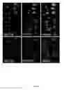 Fig. 44 - Rationale, methods, and assays for identifying human and non-human primate taste specific genes and use thereof in taste modulator and therapeutic screening assays
