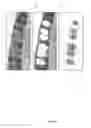 Fig. 48 - Rationale, methods, and assays for identifying human and non-human primate taste specific genes and use thereof in taste modulator and therapeutic screening assays