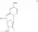 Fig. 06 - Parental formulations of gemcitabine derivatives