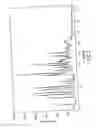 Fig. 06 - Crystalline pharmaceutical