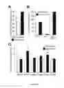 Fig. 07 - METHODS AND COMPOSITIONS FOR THE MANAGEMENT OF CARDIOVASCULAR DISEASE WITH OLIGONUCLEOTIDES