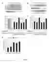 Fig. 08 - METHODS AND COMPOSITIONS FOR THE MANAGEMENT OF CARDIOVASCULAR DISEASE WITH OLIGONUCLEOTIDES