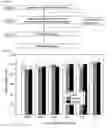 Fig. 02 - Method of preparation an inclusion-complex comprising hydrophobic physiological activation material including with cyclodextrin and its use