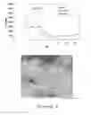 Fig. 03 - Fire resistant material