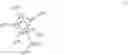 Fig. 02 - Process for preparing ethylene copolymers