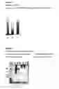 Fig. 02 - Process for highly selective purification of two plasma proteins: von willebrand factor (vWF) and fibronectin (Fn)