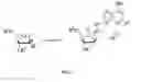 Fig. 02 - PROCESS FOR PREPARING PURINE NUCLEOSIDES