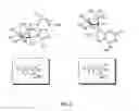 Fig. 03 - PROCESS FOR PREPARING PURINE NUCLEOSIDES