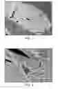 Fig. 02 - Self-assembled nanostructures