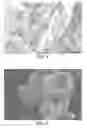 Fig. 02 - MOLECULAR SIEVE, CATALYST, AND/OR A PROCESS RELATING THERETO