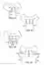 Fig. 37 - TRANSOBTURATOR SURGICAL ARTICLES AND METHODS