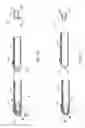 Fig. 07 - Device and method for artificial insemination of bovines