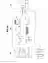 Fig. 11 - Medical apparatus
