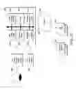 Fig. 28 - SELF CONTAINED ILLUMINATED INFUSION CANNULA SYSTEMS AND METHODS AND DEVICES