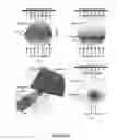 Fig. 16 - Extended interior methods and systems for spectral, optical, and photoacoustic imaging