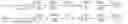 Fig. 07 - Image processing method for estimating a risk of atheroma plaque breakage